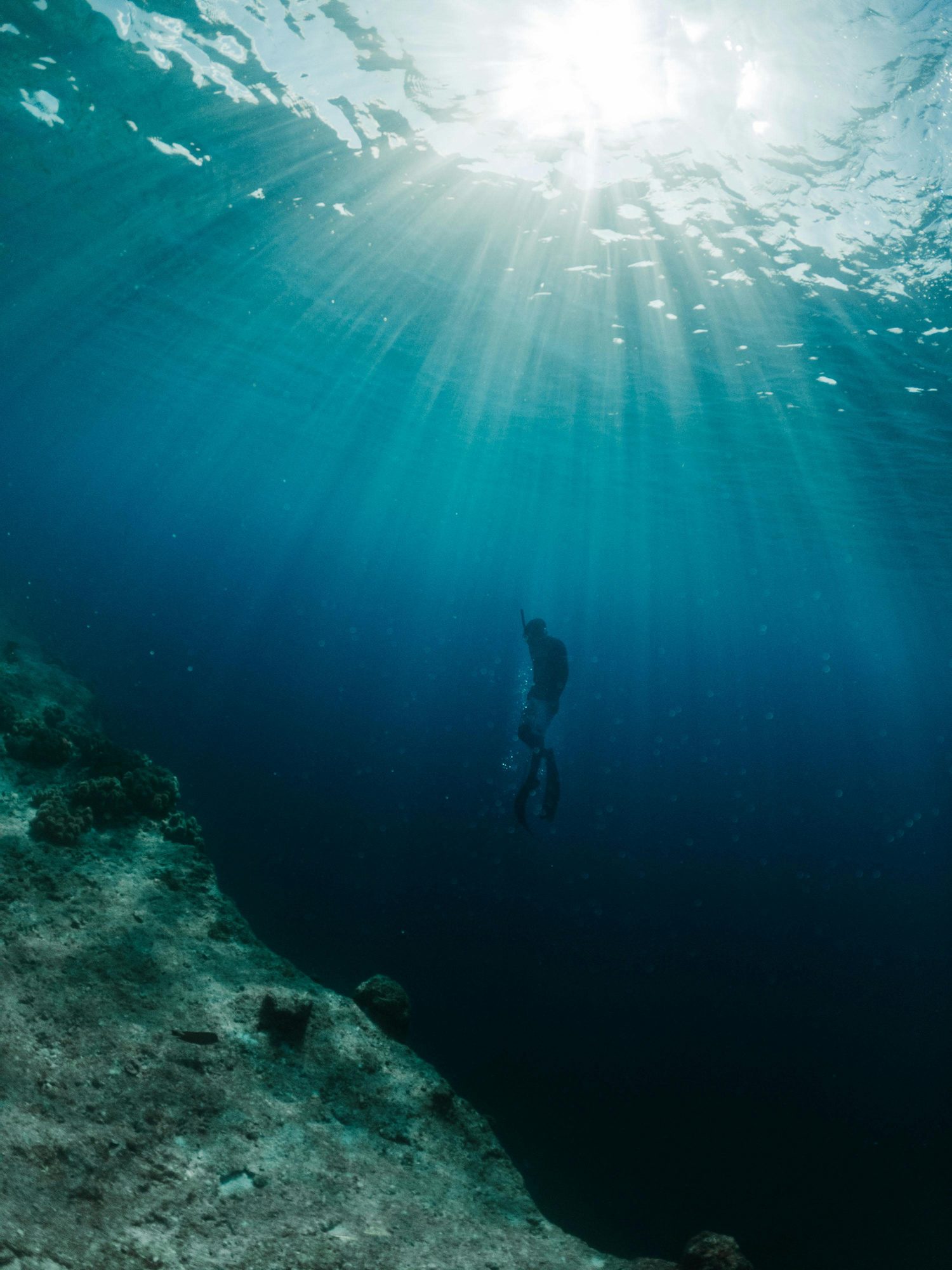 A free diver descending through shafts of light